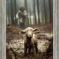 The Good Shepherd is on the Way