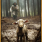 The Good Shepherd is on the Way
