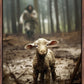 The Good Shepherd is on the Way