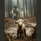 The Good Shepherd is on the Way