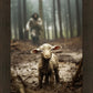 The Good Shepherd is on the Way