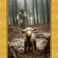 The Good Shepherd is on the Way