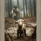 The Good Shepherd is on the Way