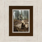 The Good Shepherd is on the Way