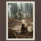 The Good Shepherd is on the Way
