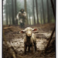 The Good Shepherd is on the Way