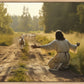 The Shepherd's Call