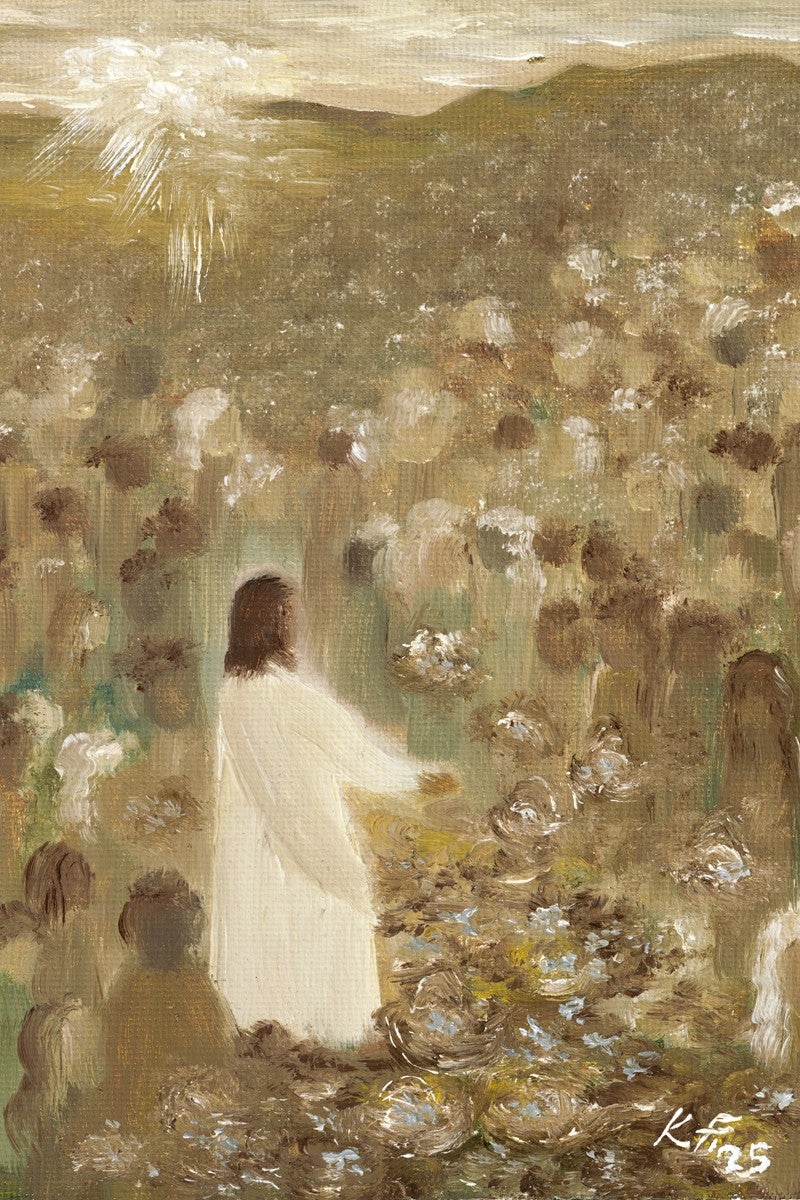 Loaves and Fishes