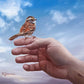 Every Sparrow is Known