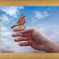 Every Sparrow is Known