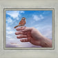 Every Sparrow is Known