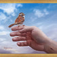 Every Sparrow is Known