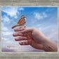Every Sparrow is Known
