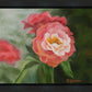 Pink Flower