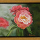 Pink Flower