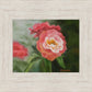 Pink Flower