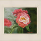 Pink Flower
