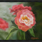 Pink Flower
