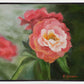 Pink Flower