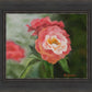 Pink Flower
