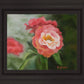 Pink Flower