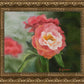Pink Flower