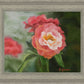 Pink Flower