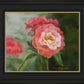 Pink Flower