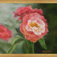 Pink Flower