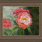 Pink Flower