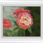 Pink Flower
