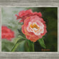 Pink Flower
