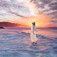Master of the Ocean