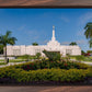 Mérida Mexico Garden Peace