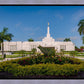 Mérida Mexico Garden Peace