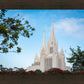 San Diego California Towering Spires