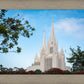 San Diego California Towering Spires