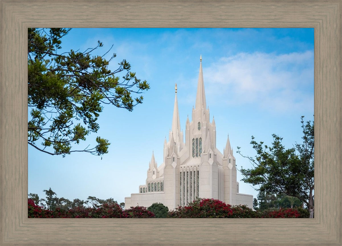 San Diego California Towering Spires
