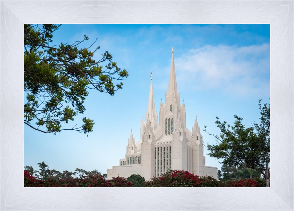 San Diego California Towering Spires
