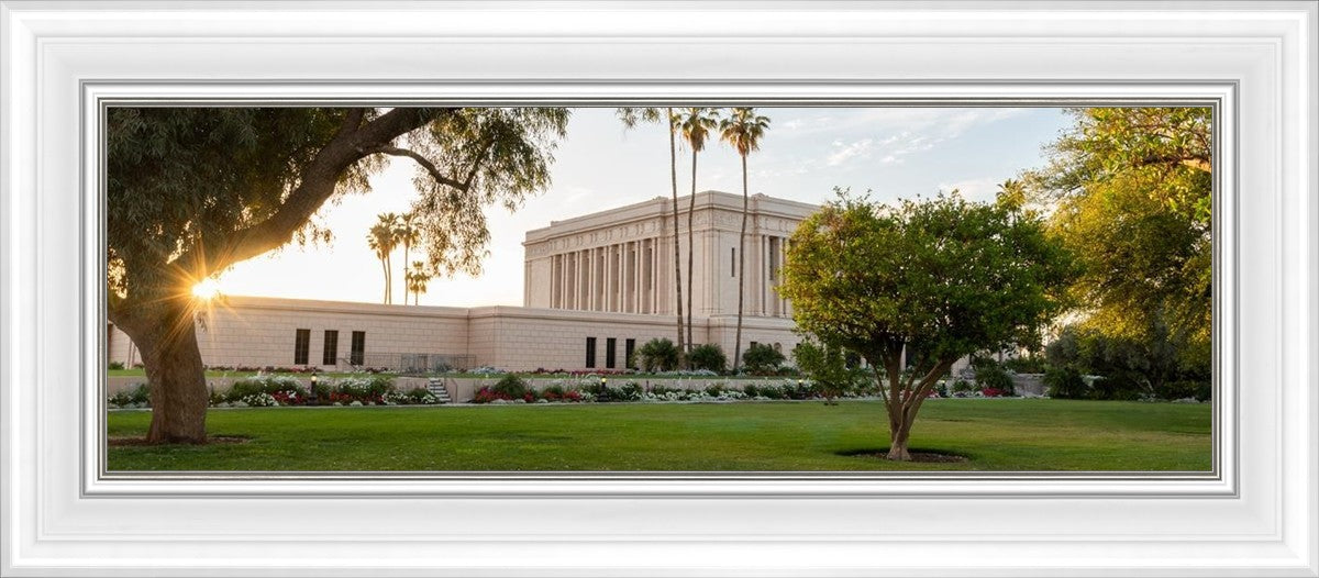 Mesa Arizona Shining On