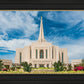 Gilbert Summer Joy