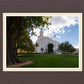 Saint George Fall Leaves