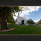 Saint George Fall Leaves
