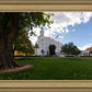 Saint George Fall Leaves