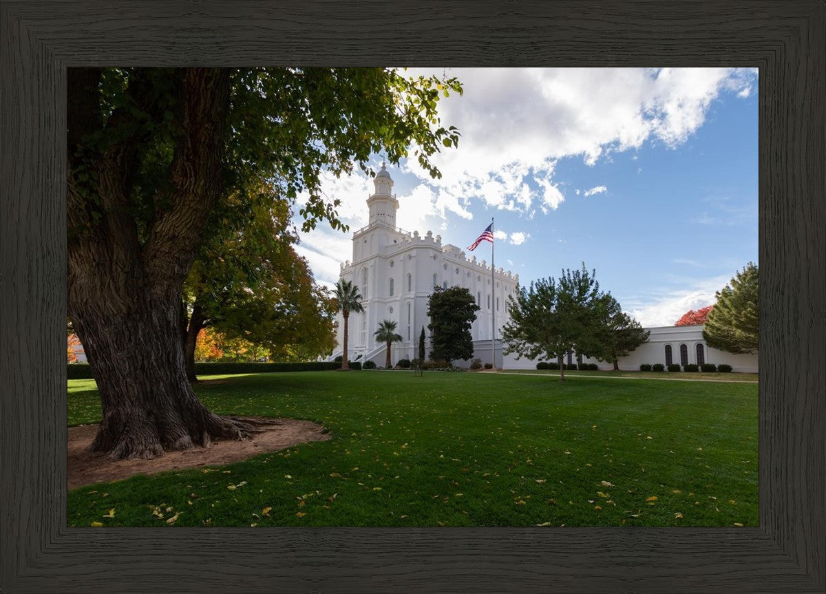 Saint George Fall Leaves