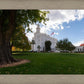 Saint George Fall Leaves