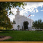 Saint George Fall Leaves