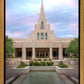 Phoenix Temple Cultivating Goodness