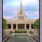 Phoenix Temple Cultivating Goodness