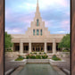 Phoenix Temple Cultivating Goodness